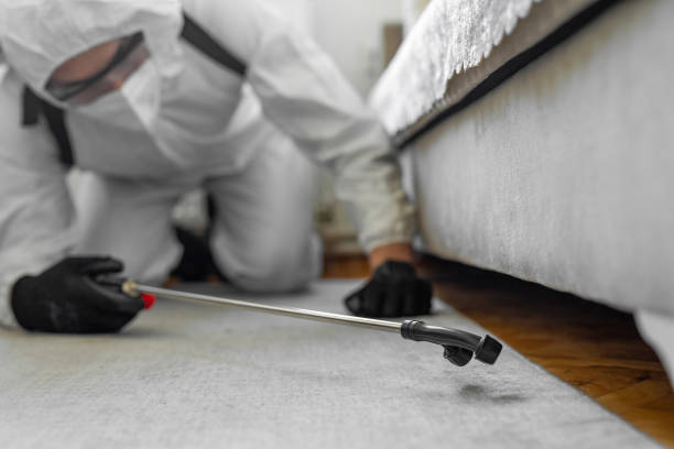 Professional Ant Control technician working in River Oaks, TX